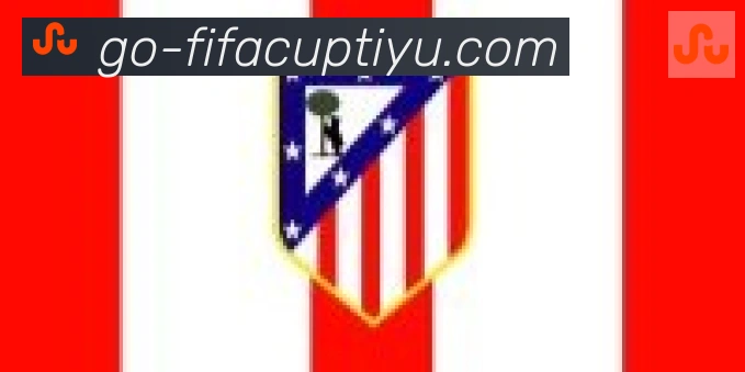 FIFA世界杯体育官方网站合作伙伴